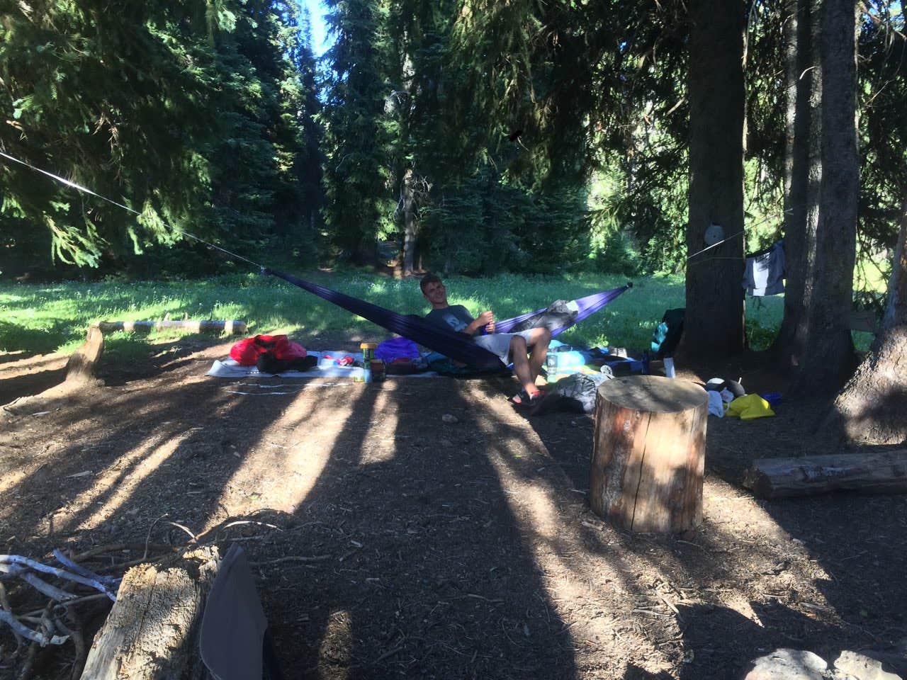 Camper submitted image from Paddy Flat - Jughandle Mountain Area, McCall RD - 2