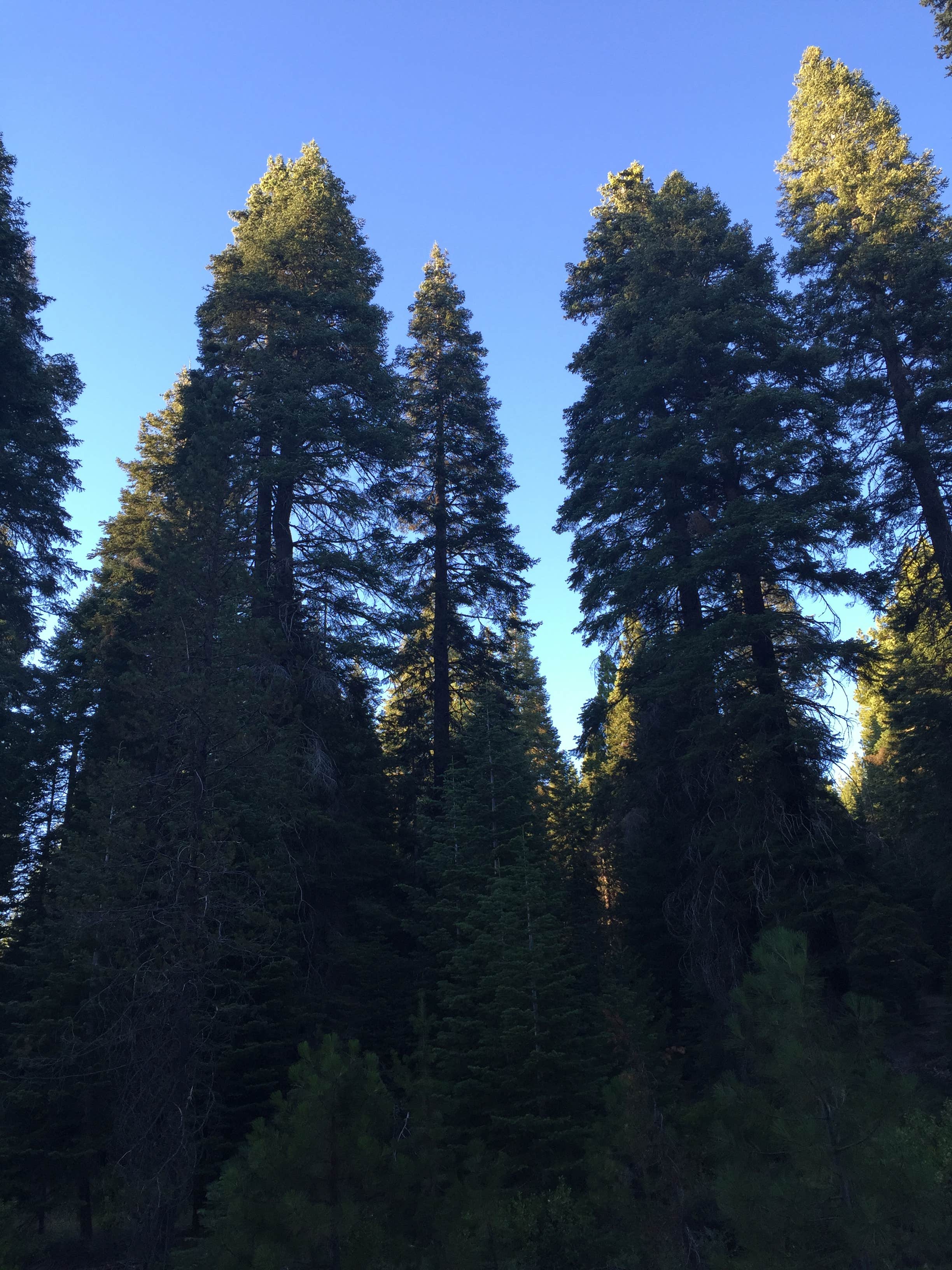 Camper submitted image from Soldier Meadows Campground - 2