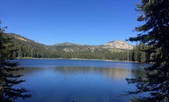 Camping near Lake Fork: Paddy Flat - Jughandle Mountain Area, McCall RD, Spink, Idaho
