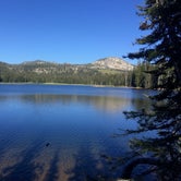 Review photo of Paddy Flat - Jughandle Mountain Area, McCall RD by Easton S., July 24, 2019