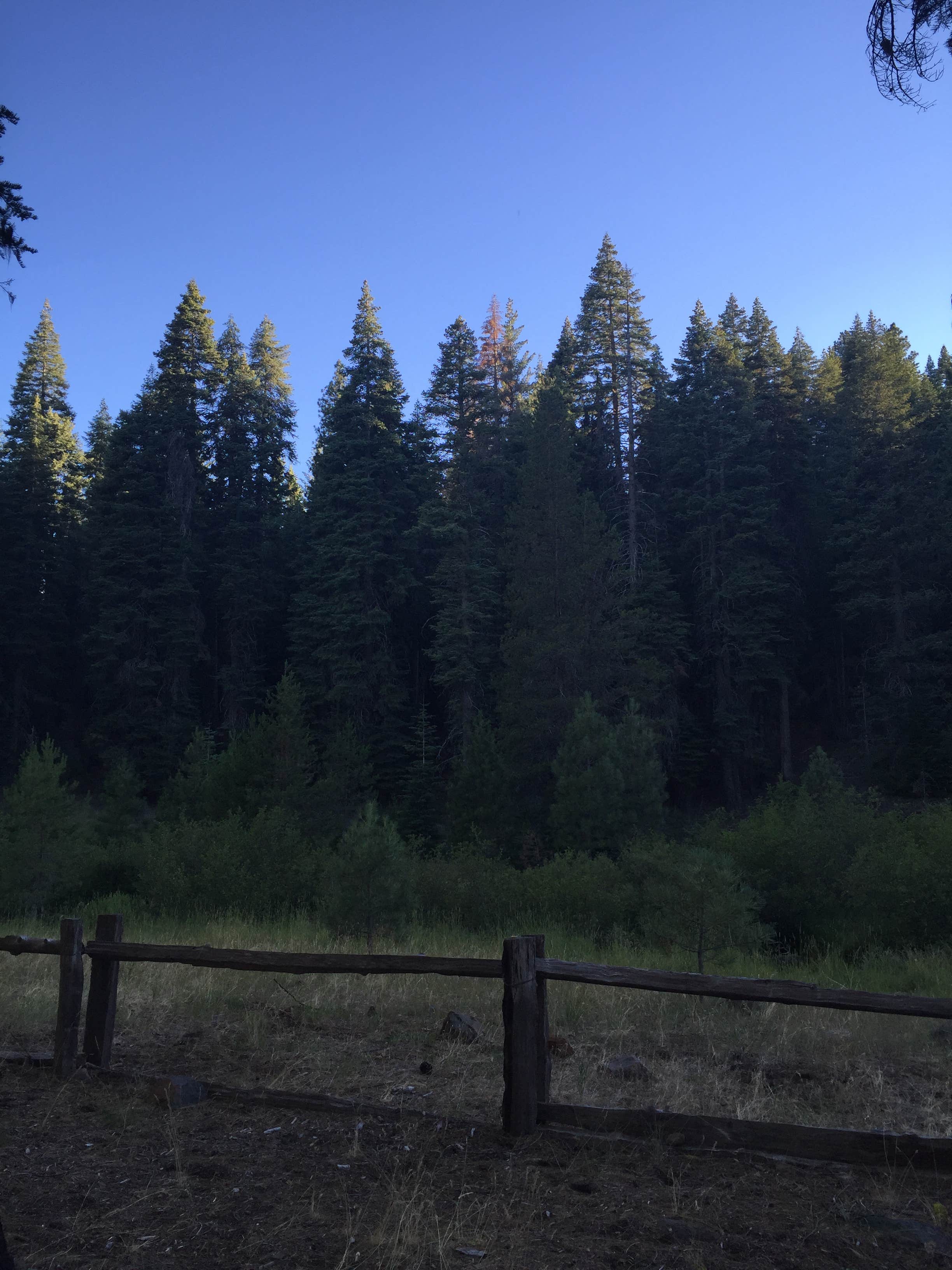 Camper submitted image from Soldier Meadows Campground - 1