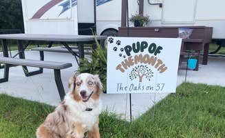 The Oaks O.'s photo of camping with pets at The Oaks on 37 Tiny Homes & RV Resort near Mount Vernon, TX