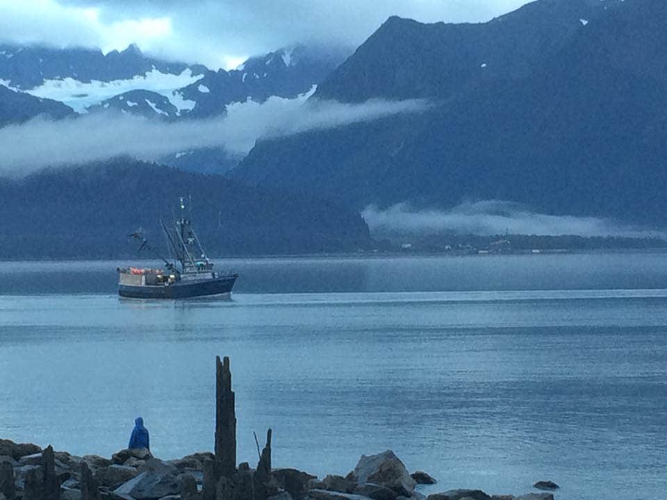 Camper submitted image from Seward City Campgrounds - 1