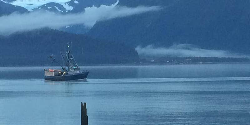 Camper submitted image from Seward City Campgrounds