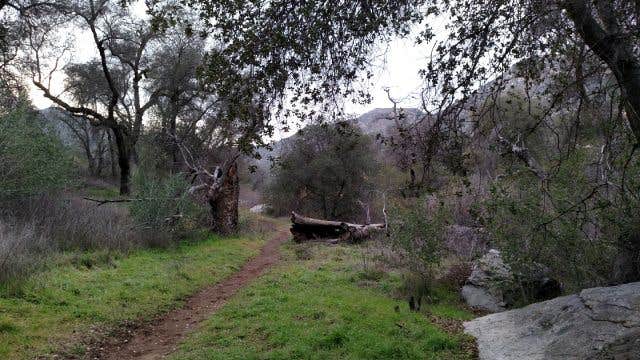 Camper-submitted photo at Smith Memorial Park near Alpine, NY