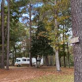 Review photo of Deep Bend Landing by Stuart K., May 11, 2025