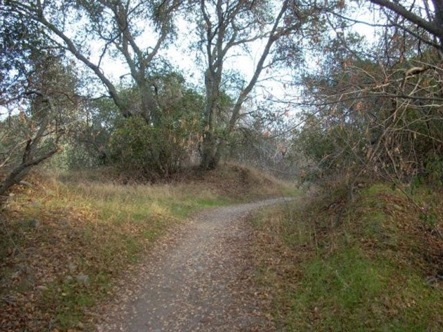 Hiking trail- there is a lot of trails that look like this. Easy to follow.