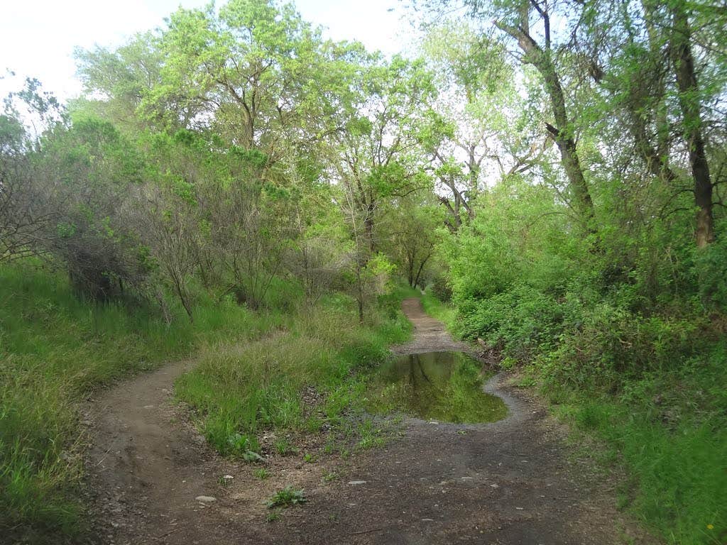 Camper submitted image from Smith Memorial Park - 2