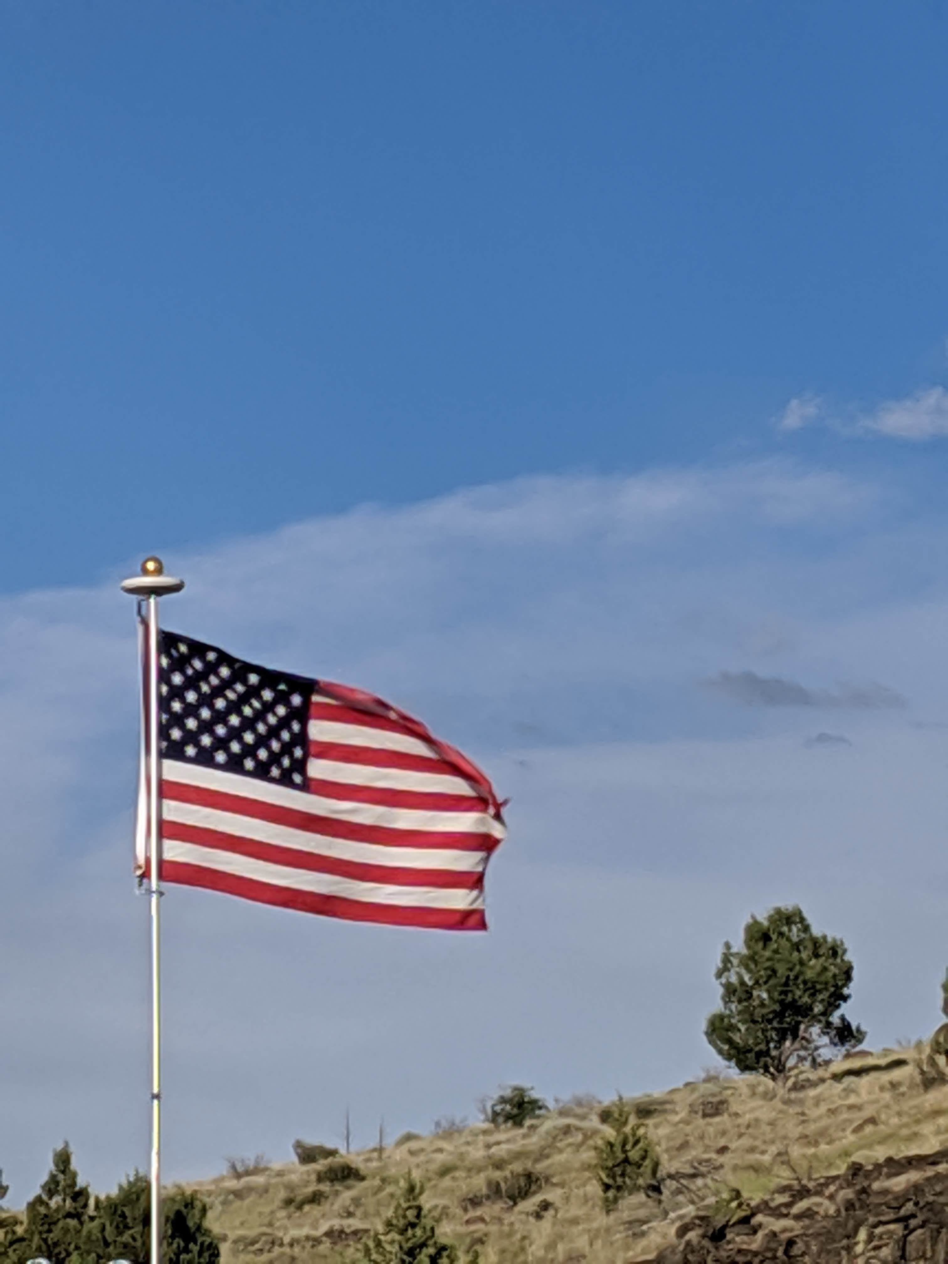 Camper submitted image from Ramhorn Springs Campground - 5