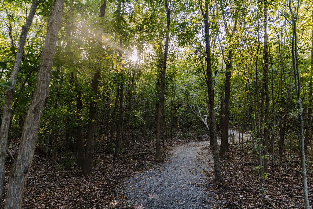 Camper-submitted photo at Sugar Hill RV Resort near Frisco, TX