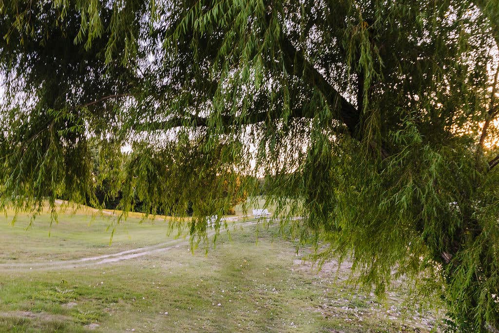 Camper-submitted photo at Sugar Hill RV Resort near Caddo National Grassland