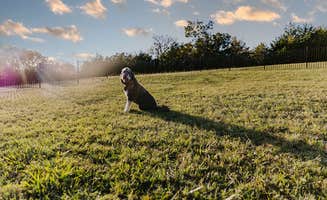 Stephanie's photo of camping with pets at Sugar Hill RV Resort near Flower Mound, TX