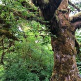 Review photo of Elk Lake — Olympic National Park by kristi R., July 24, 2019