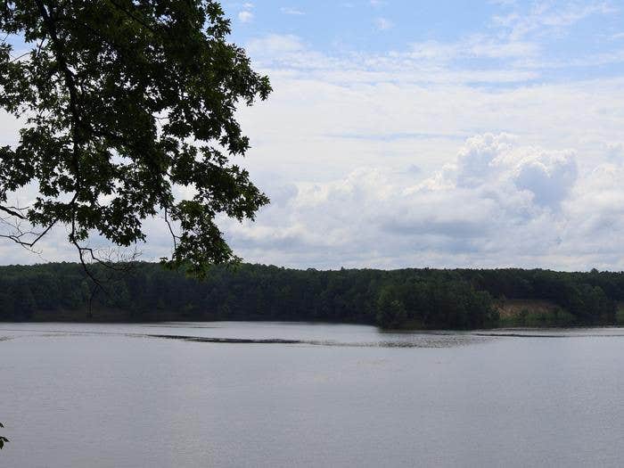 Camper submitted image from Upper Manistee River Backcountry Campsites — Huron Manistee National Forests - 1