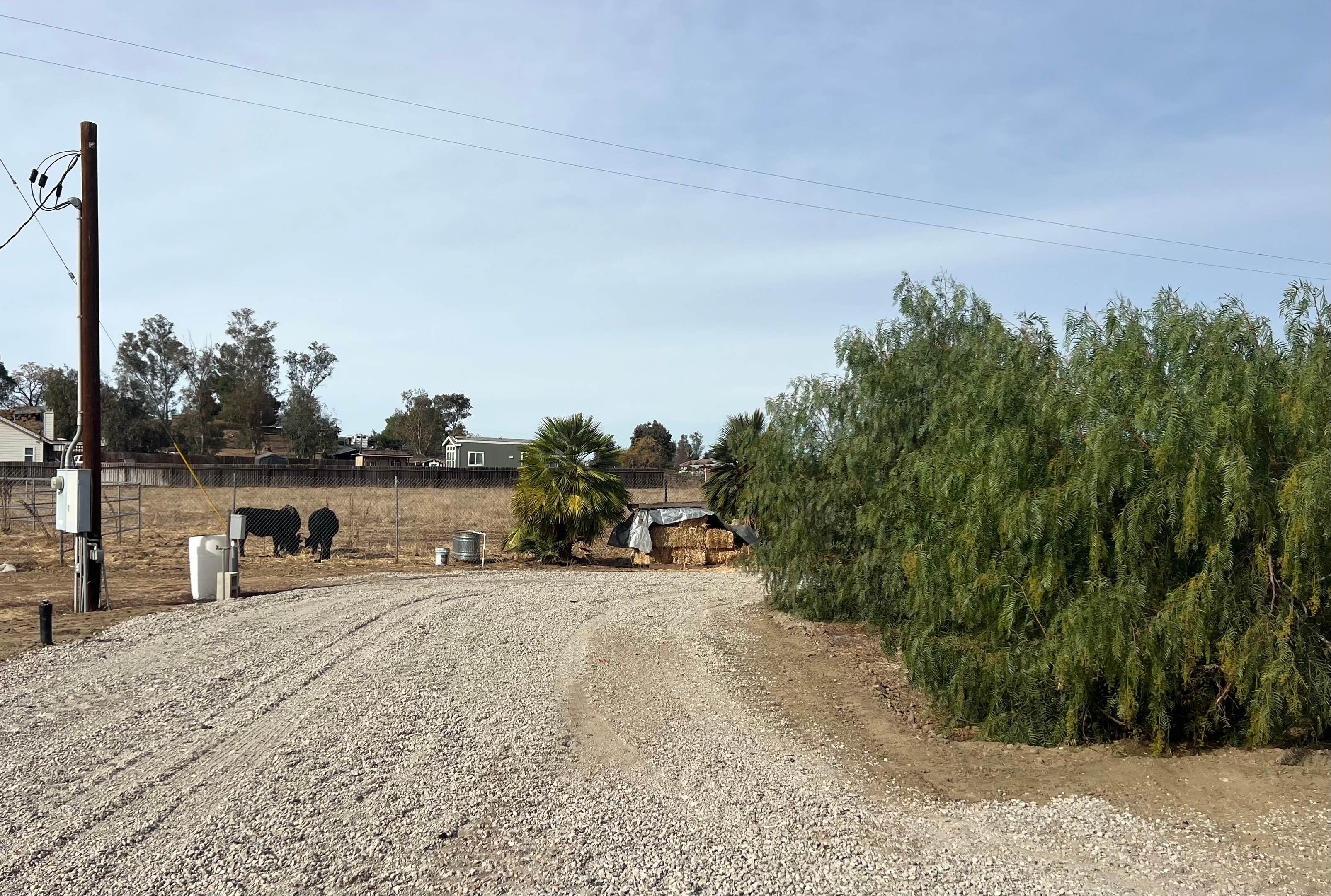 Camper-submitted photo at Thompson Palms Campground near Poway, CA