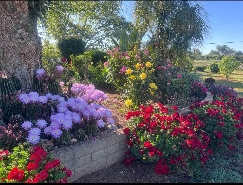 Camper-submitted photo at Thompson Palms Campground near Poway, CA