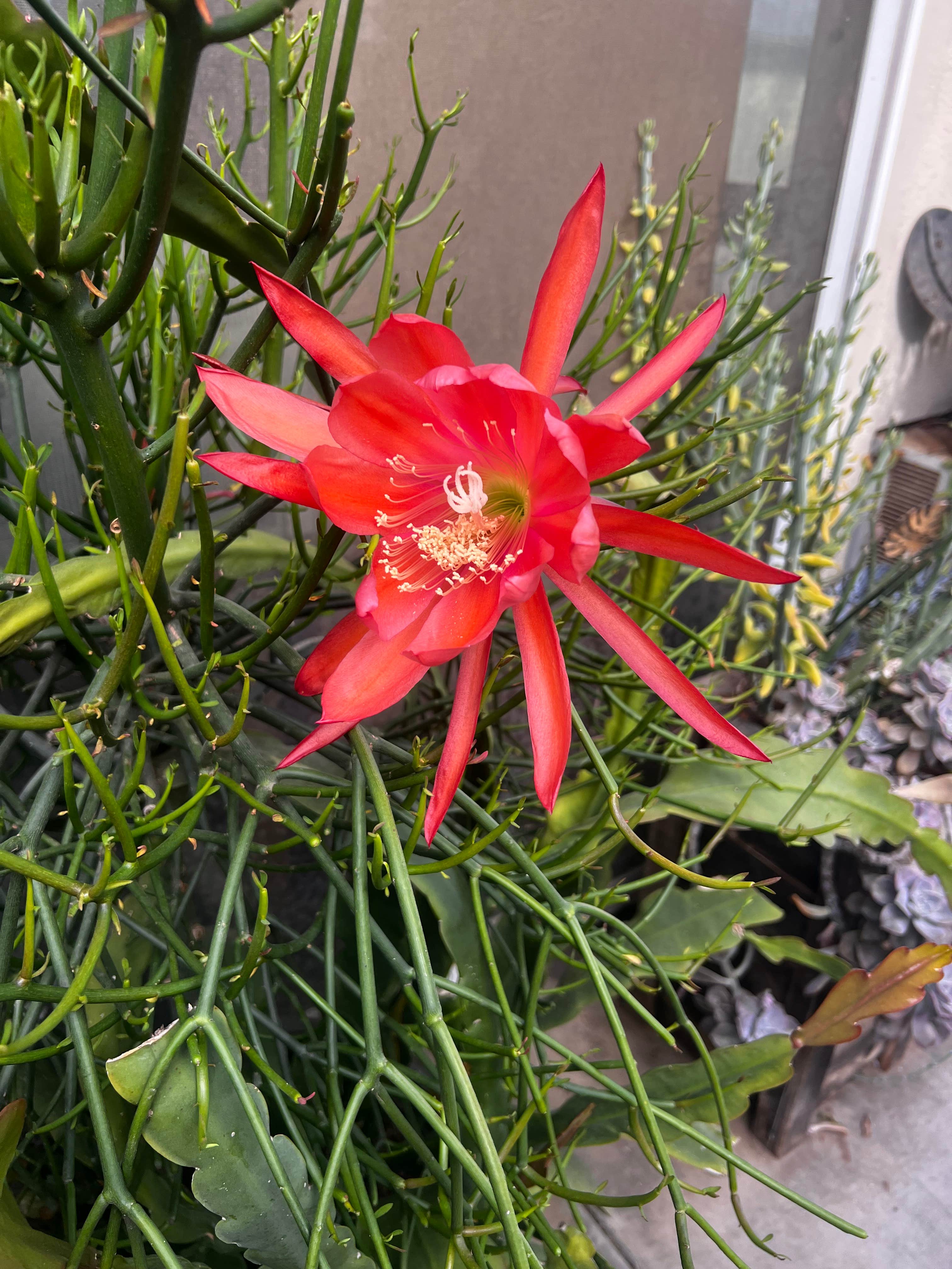 Camper-submitted photo at Thompson Palms Campground near Poway, CA