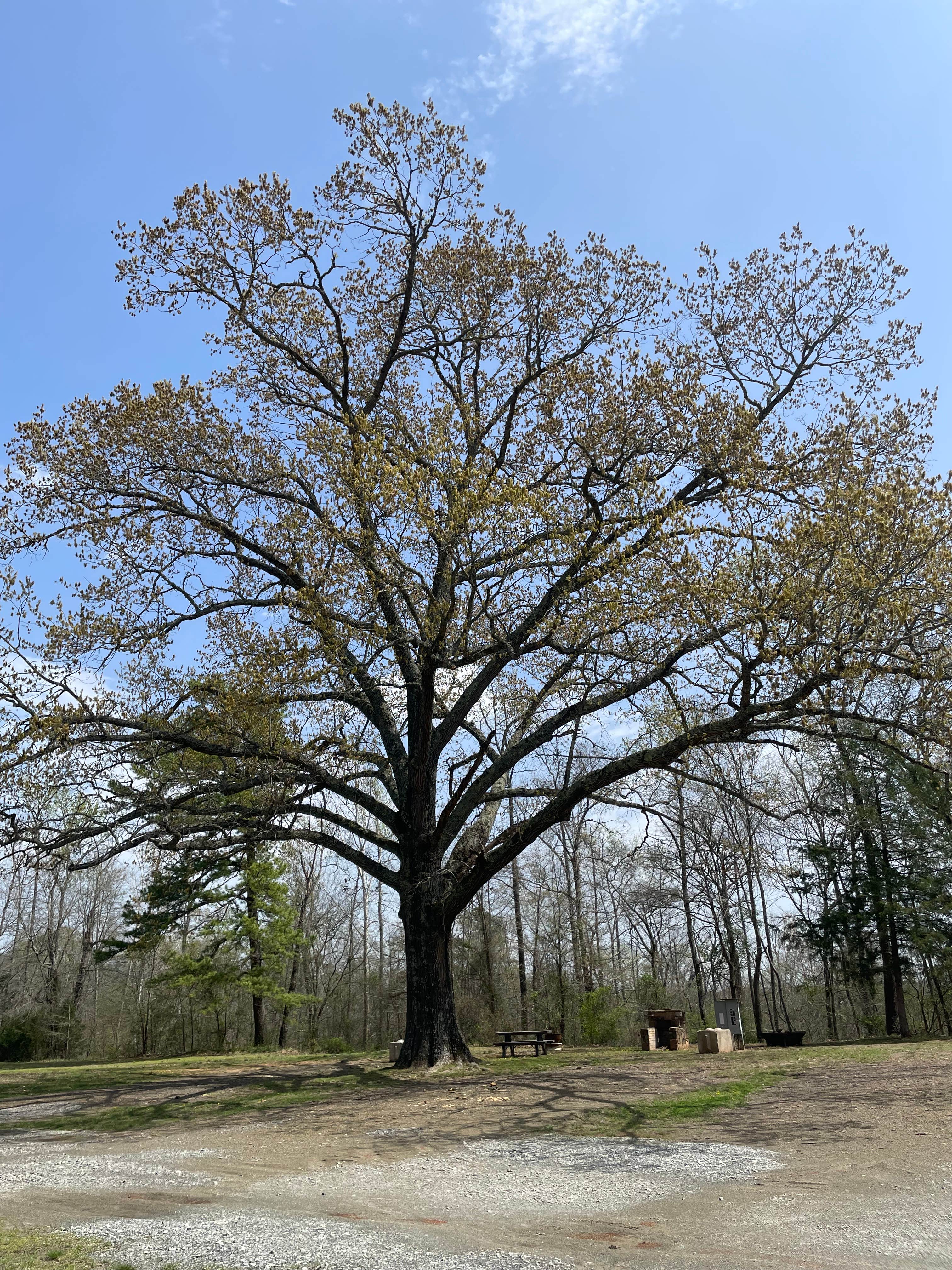 Camper-submitted photo at Honobia Creek RV Park near Heavener, OK