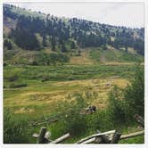 Review photo of Harrison Lake Campground by Lindsay B., June 6, 2016