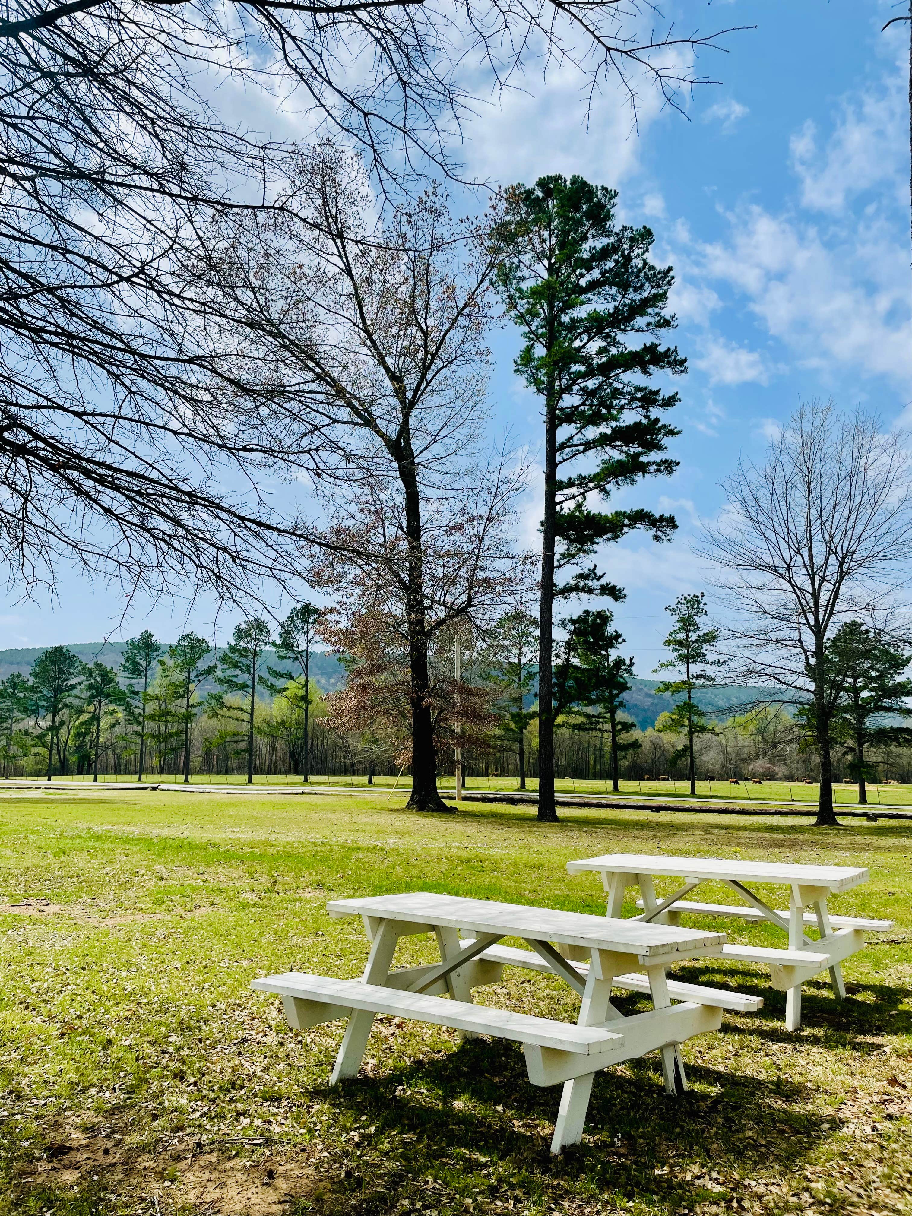 Camper-submitted photo at Honobia Creek RV Park near Heavener, OK