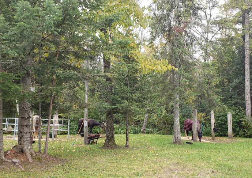 Camper-submitted photo at Big Falls Campground and Horse Camp near Birchdale, MN