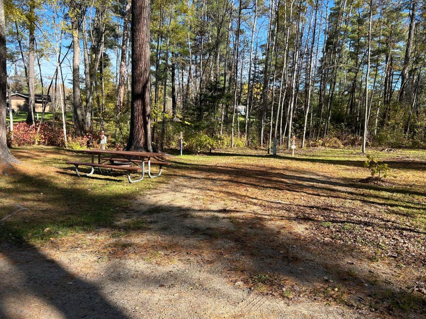Camper-submitted photo at Big Falls Campground and Horse Camp near Birchdale, MN