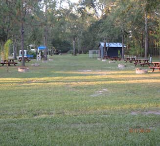 Camper-submitted photo from Okefenokee Pastimes Cabins and Campground