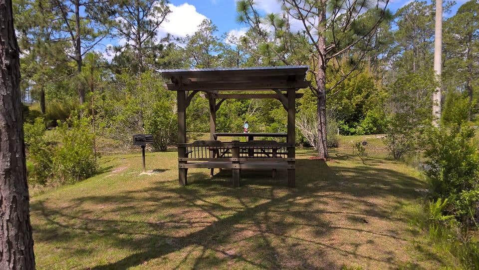 Camper-submitted photo at Okefenokee Pastimes Cabins and Campground near Folkston, GA