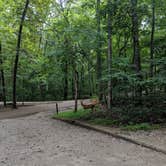 Review photo of Monte Sano State Park Campground by Chase G., July 24, 2019