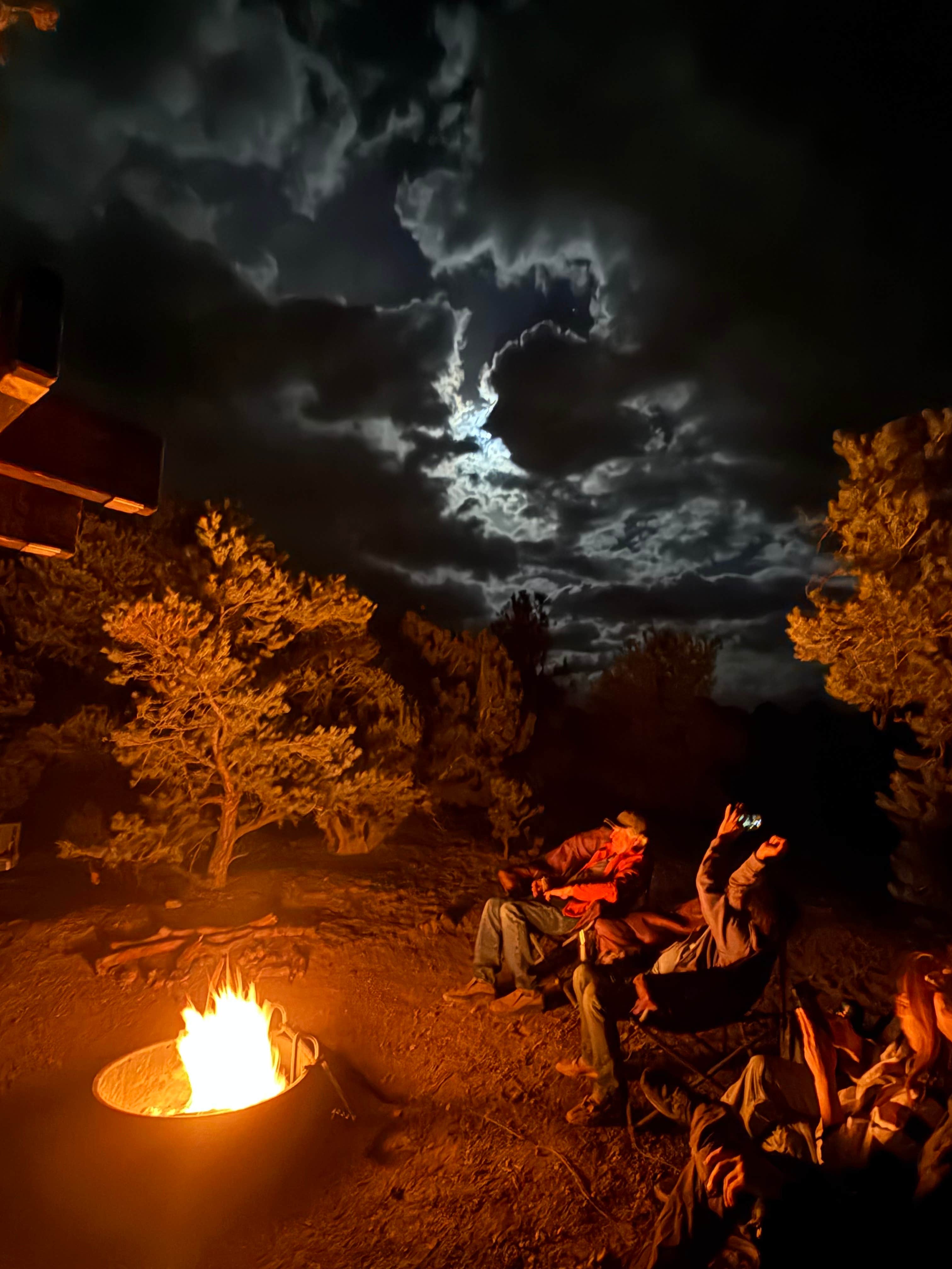 Camper-submitted photo at Berlin-Ichthyosaur State Park near Round Mountain, NV