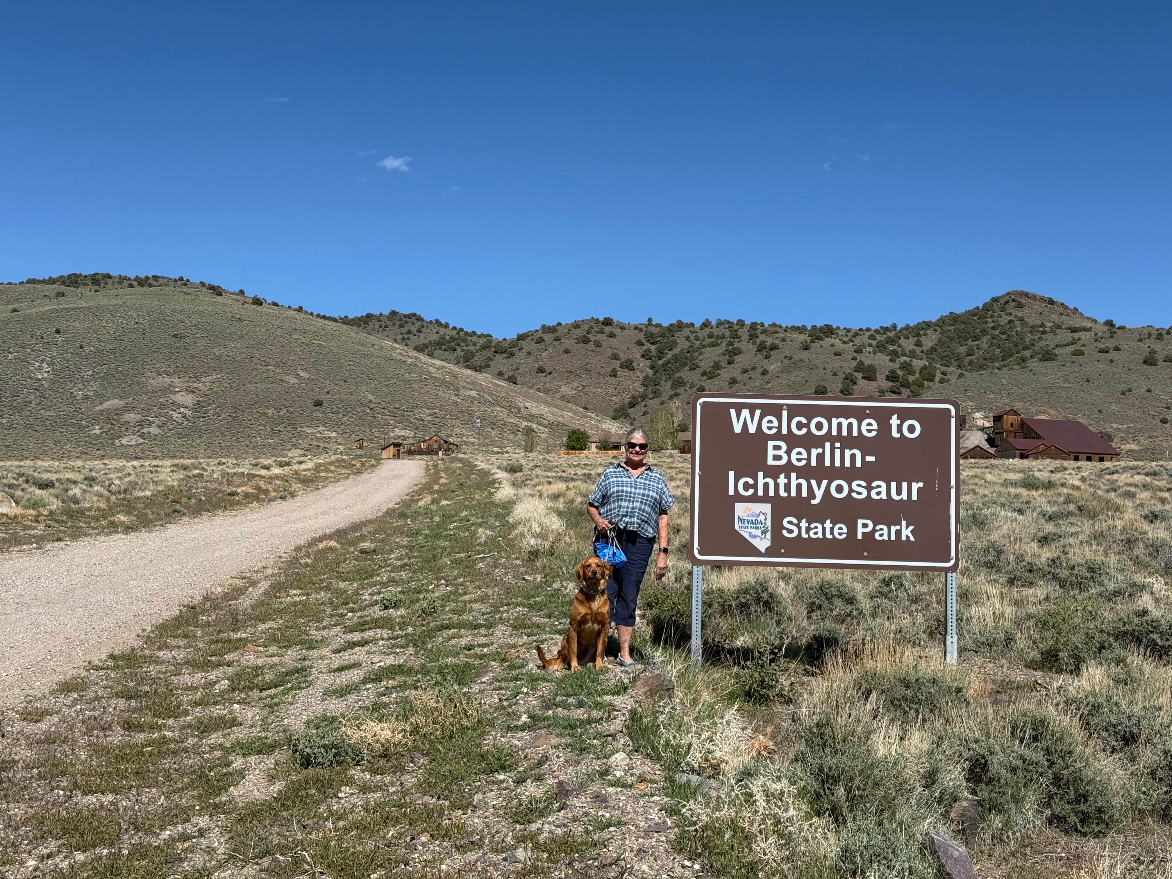 Terri D.'s photo of camping with pets at Berlin-Ichthyosaur State Park near Round Mountain, NV