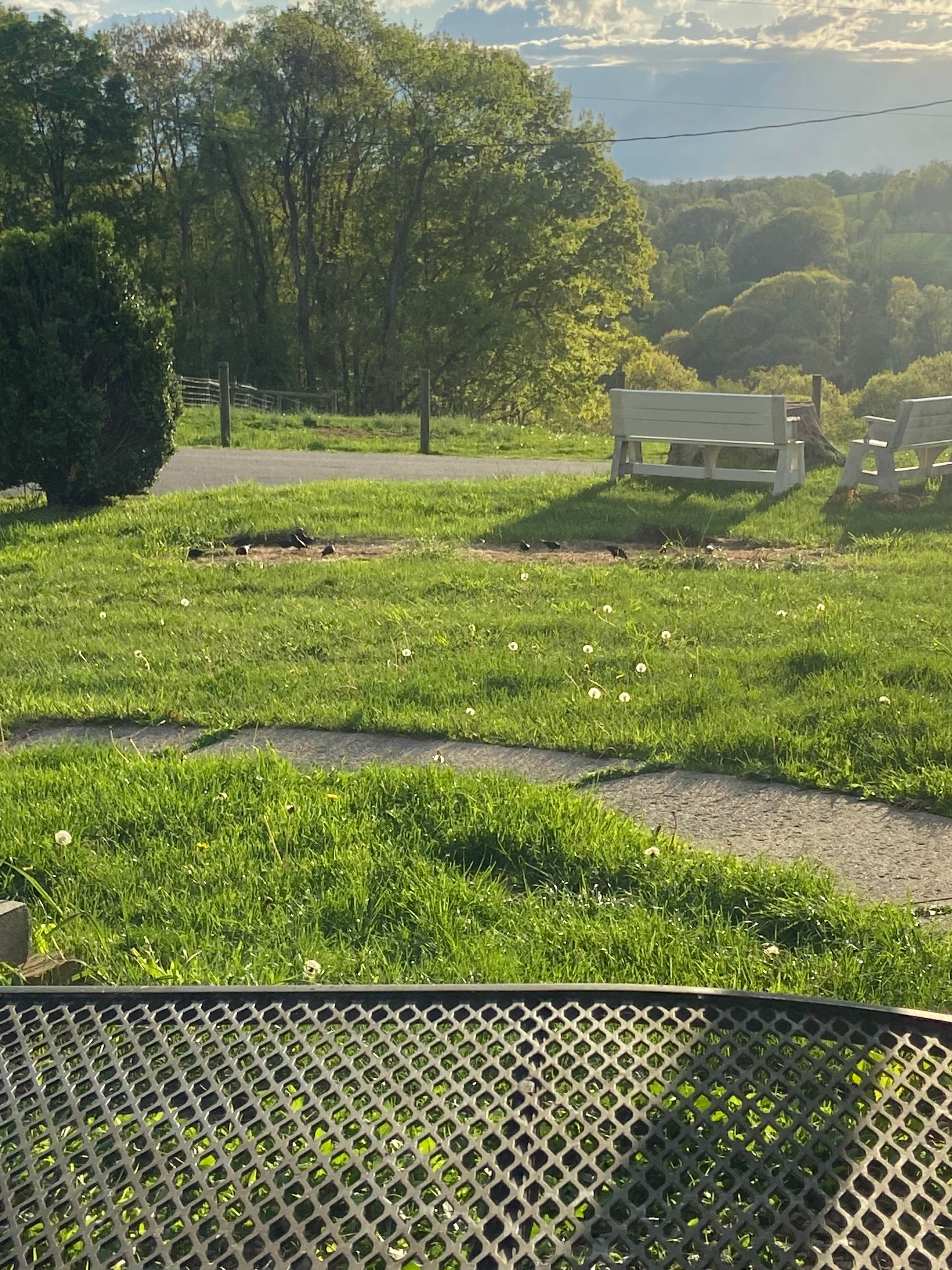 Camper submitted image from French Hill Overlook - 1