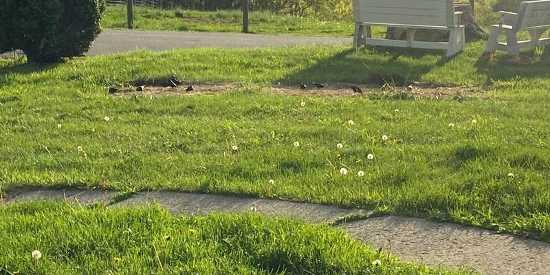 Camper submitted image from French Hill Overlook