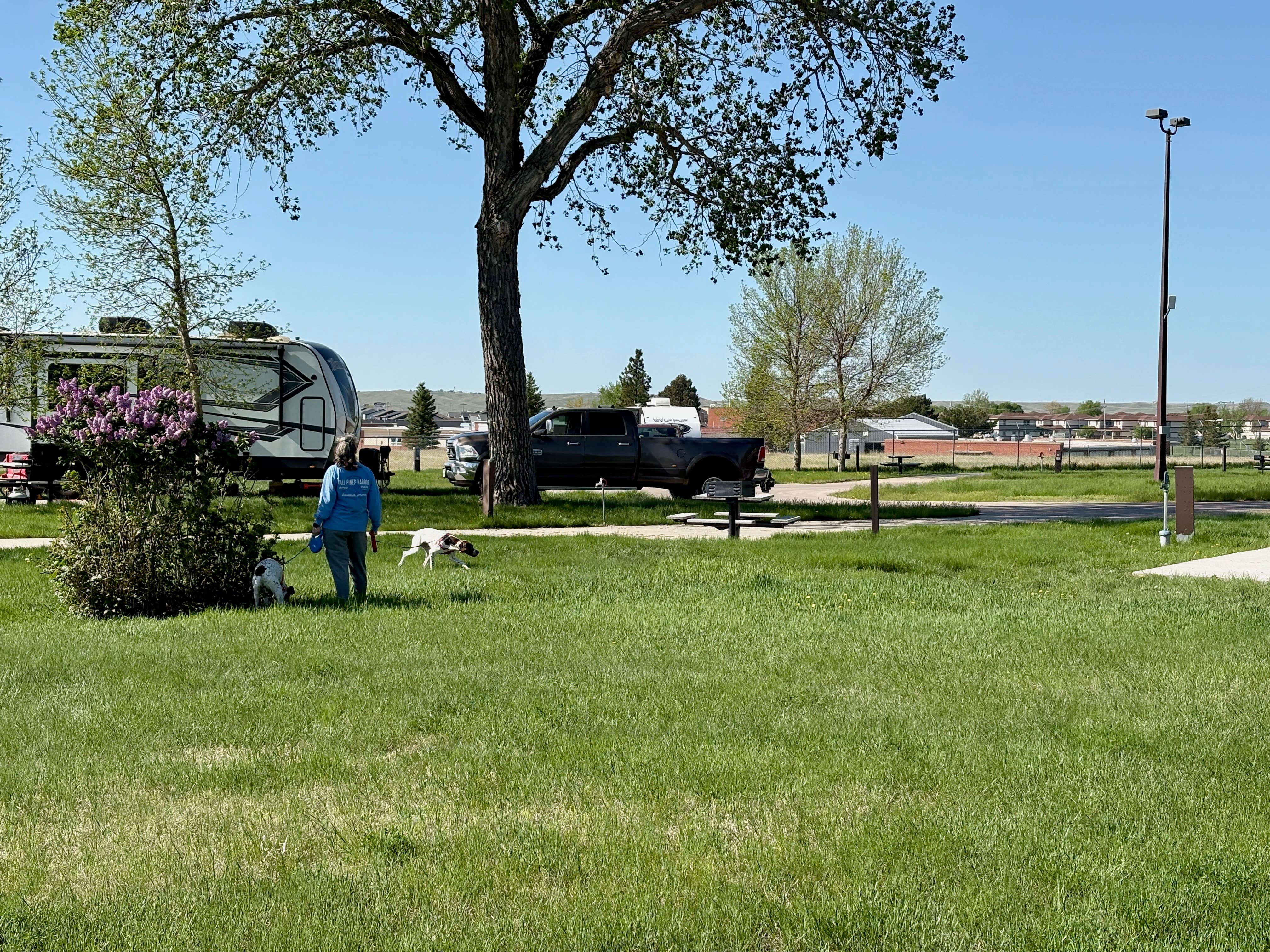 MickandKarla W.'s photo of camping with pets at Ellsworth AFB FamCamp. near Blackhawk, SD