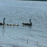 Review photo of Taw Caw Campground and Marina by RAYMOND , May 14, 2025