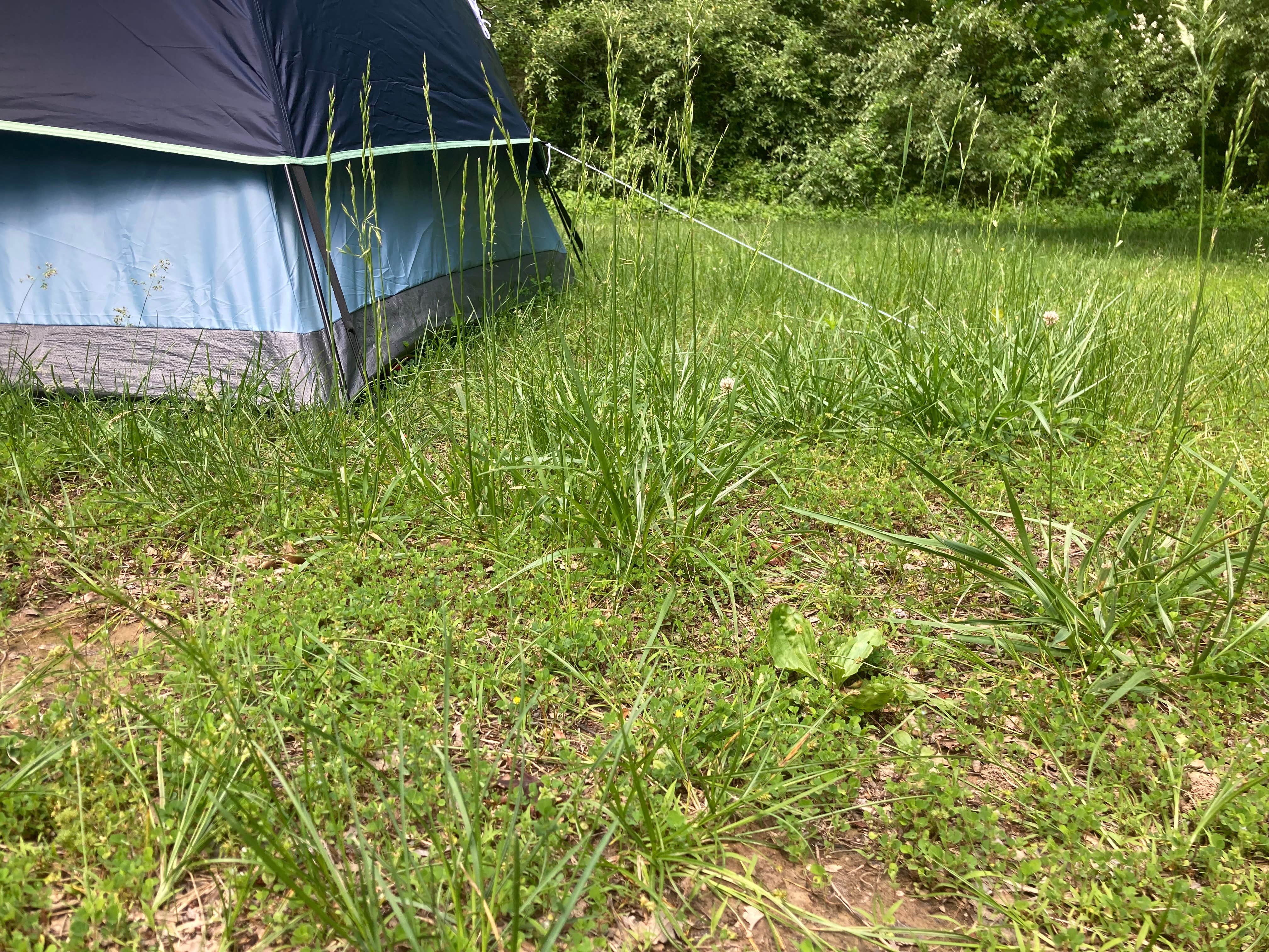 Camper-submitted photo at Beall Woods State Park Campground near Sumner, IL