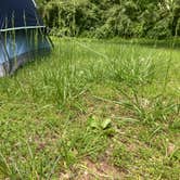 Review photo of Beall Woods State Park Campground by jY , May 14, 2025