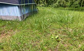 jY's photo at Beall Woods State Park Campground in Illinois