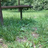Review photo of Beall Woods State Park Campground by jY , May 14, 2025