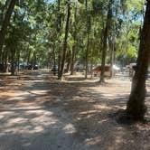 Review photo of Jekyll Island Campground by Michael C., May 14, 2025