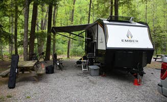 Marcandpatti B.'s photo of rv camping at Riverside Campground — Watoga State Park near Covington, VA