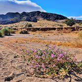 Review photo of Cowhole Mountain Basecamp by Greg I., May 15, 2025