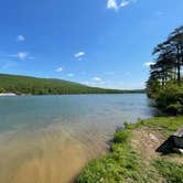 Review photo of Rocky Gap State Park Campground by Marcandpatti B., May 15, 2025