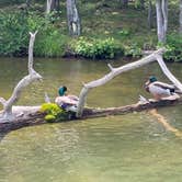 Review photo of Rocky Gap State Park Campground by Marcandpatti B., May 15, 2025