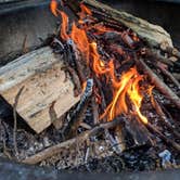 Review photo of Red Top Mountain State Park Campground by SouthernGinger , July 24, 2019