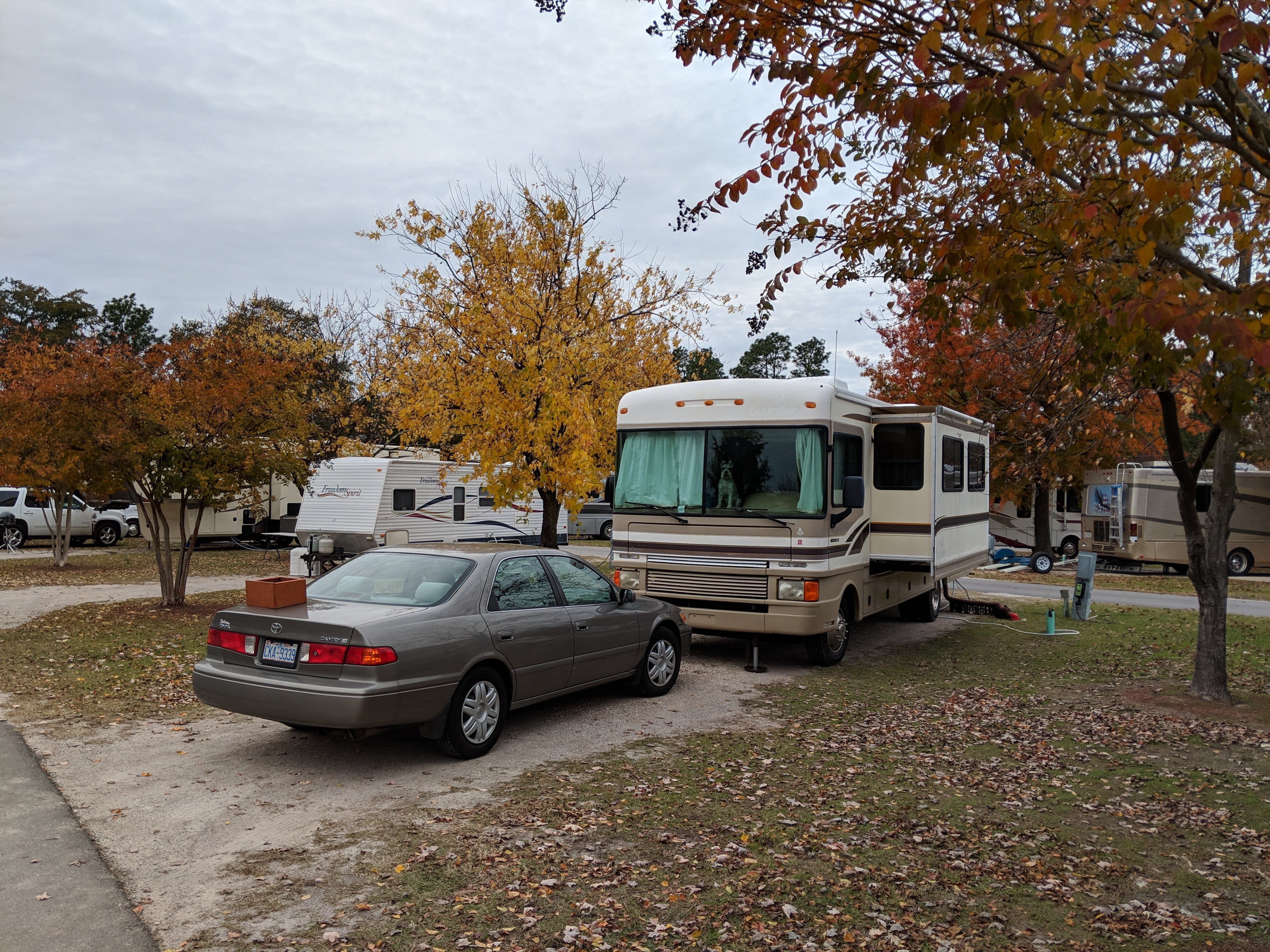 Camper submitted image from Barnyard RV Park - 4