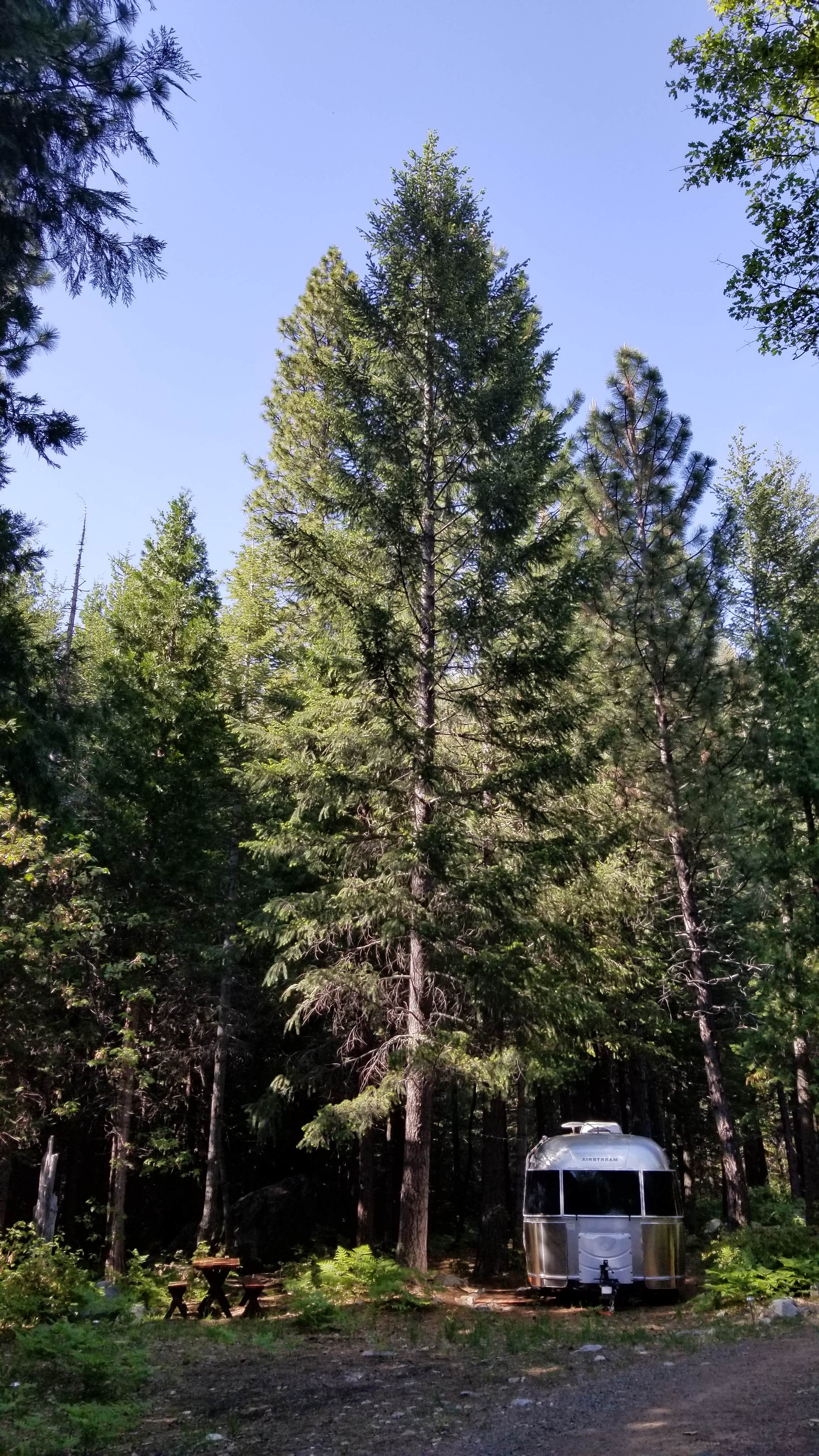 Camper-submitted photo at Bright Bear Camp in Tahoe NF near Washington, CA