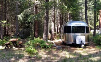 Kelley A.'s photo at Bright Bear Camp in Tahoe NF near Alleghany, CA