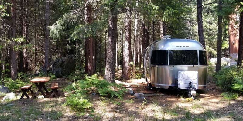 Camper submitted image from Bright Bear Camp in Tahoe NF