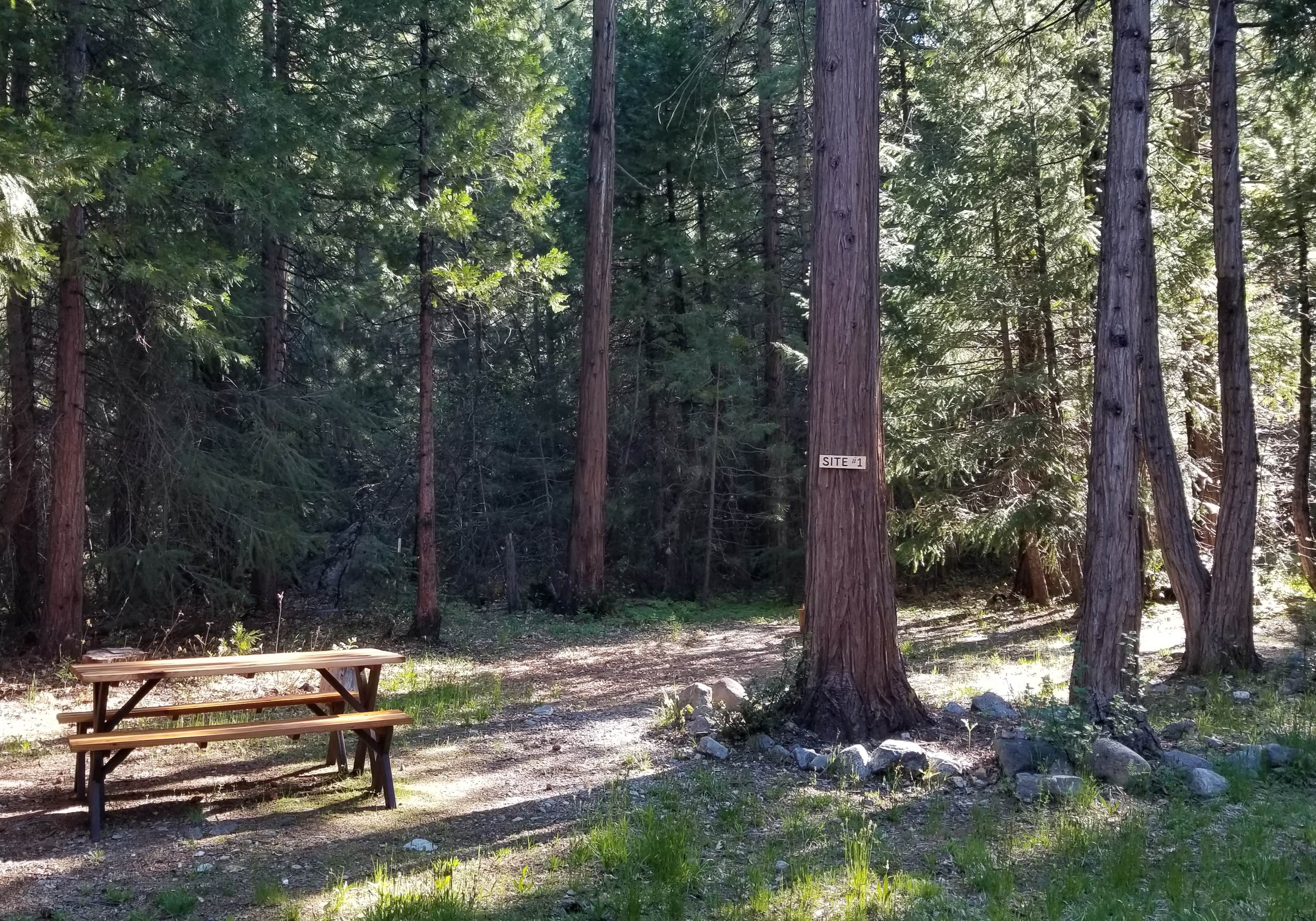 Camper-submitted photo at Bright Bear Camp in Tahoe NF near Washington, CA